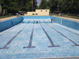 piscina_pinos